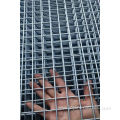 Welded Wire Mesh for Animal Metal Cage